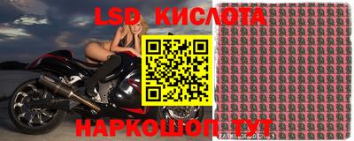 гидропоника Малгобек