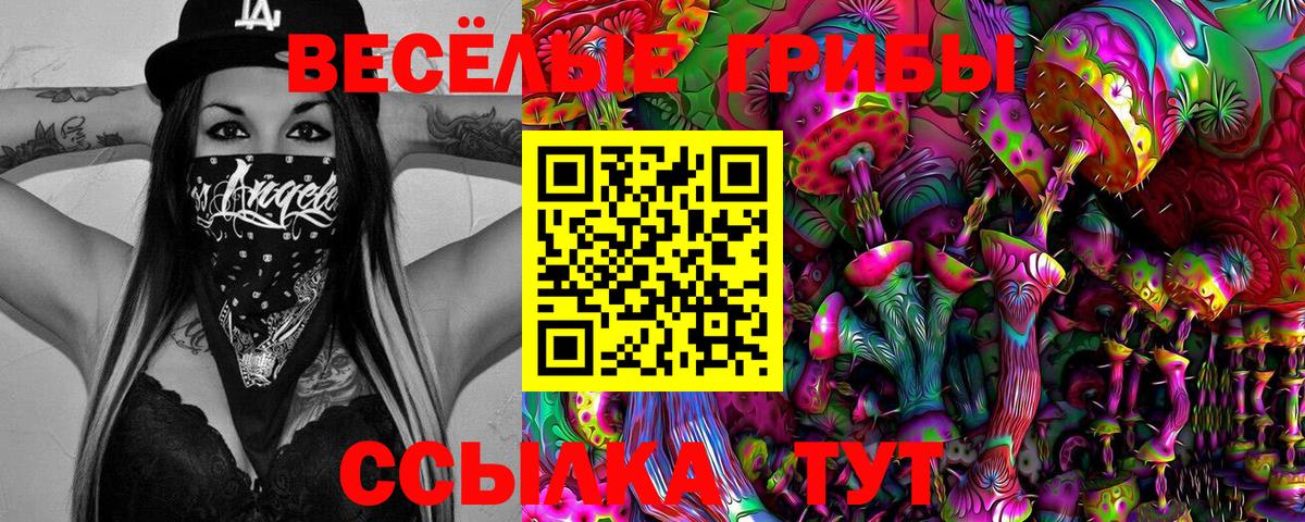 Галлюциногенные грибы Magic Shrooms Дедовск