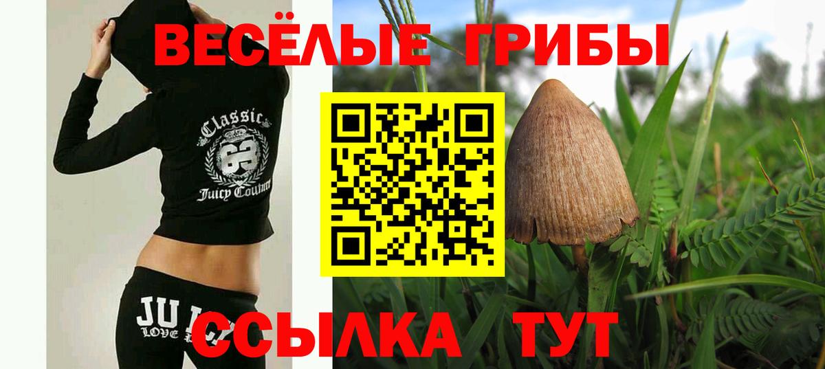Псилоцибиновые грибы Magic Shrooms  где продают   Вход с VPN  Дедовск  Галлюциногенные грибы мухоморы 